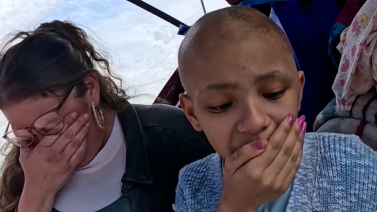 Save Jazzy's Life From Brain Cancer cover, GoFundMe campaign