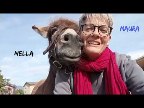 STAY, Pet Therapy & Community Garden cover, Produzioni dal Basso campaign
